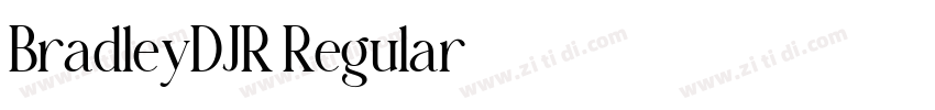 BradleyDJR Regular字体转换 BradleyDJR Regular字体转换